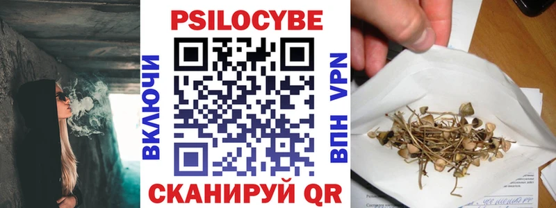 Купить где Карабаш Псилоцибиновые грибы GOLDEN TEACHER