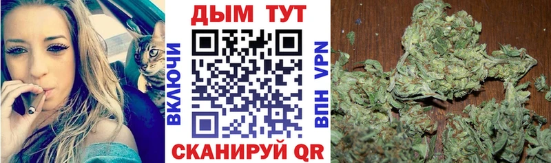 Бошки Шишки гибрид  Купить где  Карабаш 